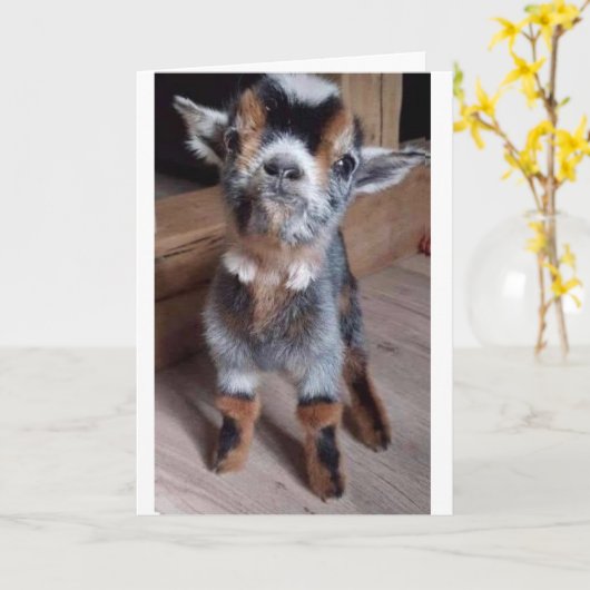 FAIRE UNE CHÈTE BÉBÉ UNE CARTE "HEUREUSE 35e ANNIV (Fleur jaune)