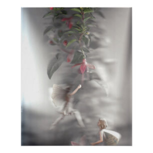 Fairies 3 perfect poster