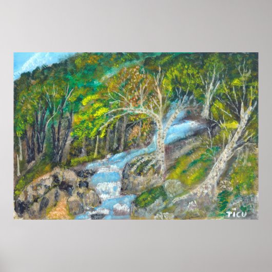 Fairies, hier wonen ze _ poster (Voorkant)