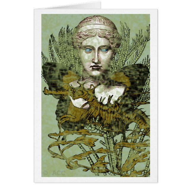 Fairies van de Zee (Voorkant)