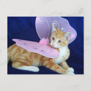 Fairies vlieg briefkaart