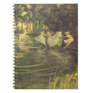 Fairies Whirl van Arthur Black, Fairy Dance Notitieboek
