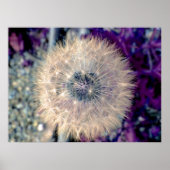 Fairy Ball Poster (Voorkant)