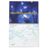 Fairy Calandar 2009 Kalender (Feb 2027)