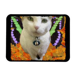 Fairy Cat Premium Magnet Magneet