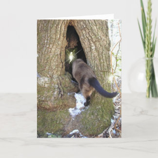 FAIRY FRIENDS Card Kaart