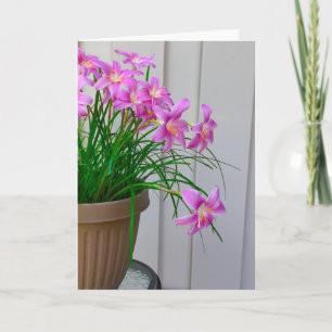 Fairy Lelies Originele Stilleven Kaart