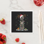 Fairy Lights Pajama Servet (Insitu)