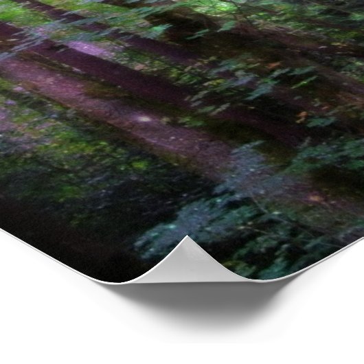 Fairy Lights Surreal Forest Poster Imprimer (Coin)