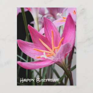 Fairy Lily Birthday Wishes Briefkaart