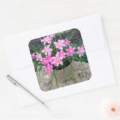 Fairy Lily Stickers (Envelop)