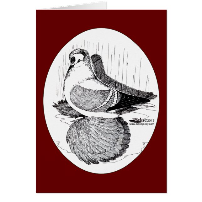 Fairy Swallow Pigeon 1978 (Voorkant)