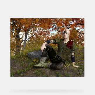 Fairy Tale Prince Acryl Bord