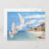 Fairy Terns Briefkaart (Voorkant / Achterkant)