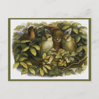 "Fairy with Owls" van Doyle Briefkaart