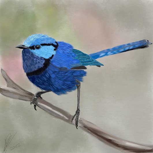 Fairy Wren canvas tas