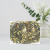 Fairyland,1870 feilloos met eigenaar briefkaart (Staand voorkant)