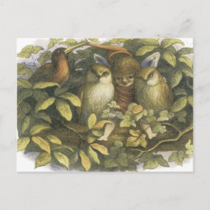 Fairyland,1870 feilloos met eigenaar briefkaart