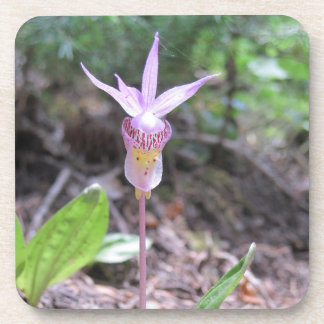 Fairyslipper Orchid Flower Bier Onderzetter