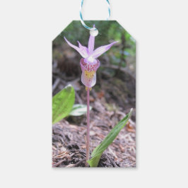 Fairyslipper Orchid Flower Cadeaulabel