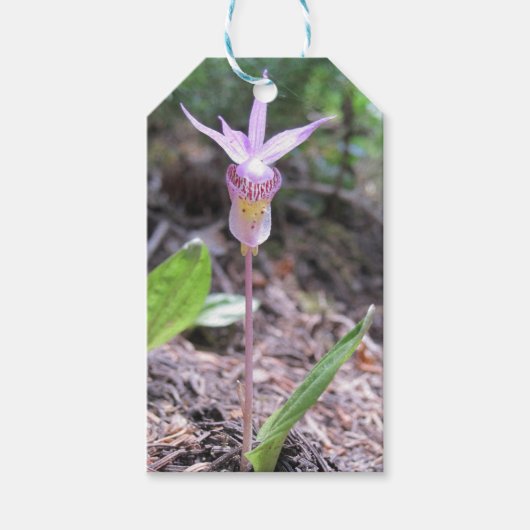 Fairyslipper Orchid Flower Cadeaulabel (Voorkant)