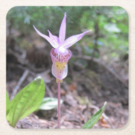Fairyslipper Orchid Flower Vierkante Kartonnen Onderzetter