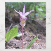 Fairyslipper Orchid Flower Wijn Etiket (Enkel label)