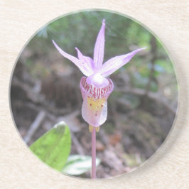 Fairyslipper Orchid Flower Zandsteen Onderzetter