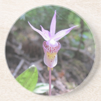 Fairyslipper Orchid Flower Zandsteen Onderzetter