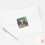 Fairyslipper Orchidee Flower Square Sticker (Envelop)