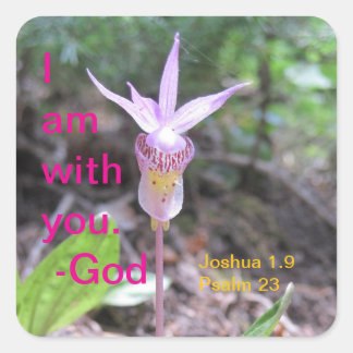 Fairyslipper Orchidee Flower Square Sticker