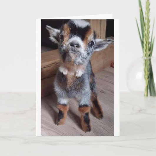 FAIS UNE FAVEUR À UN CHEVREAU CARTE "REMETS-TOI SO (Devant)