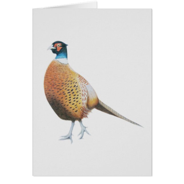 faisan 2012 (Devant)