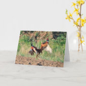 Faisans combattant la carte de voeux (Fleur jaune)