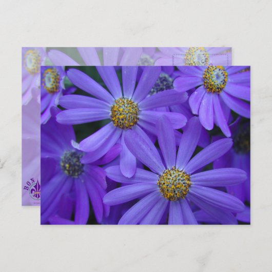 Faisceaux violets - Carte postale #1 (Devant / Derrière)