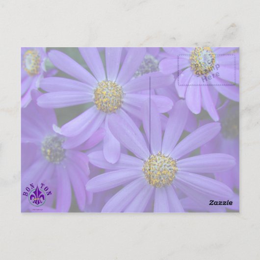 Faisceaux violets - Carte postale #1 (Dos)