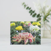 Faisée des fleuristes : Carte postale (Debout devant)