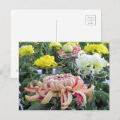 Faisée des fleuristes : Carte postale (Devant / Derrière)
