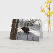 Fait une carte d'ours… (Fleur jaune)