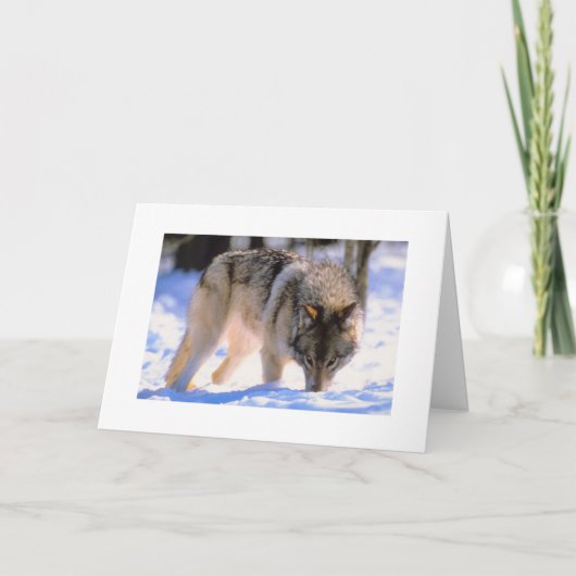 Faites la carte de Noël Loup de Neige d'hiver (Devant)