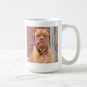 FAITES MA tasse de JOUR