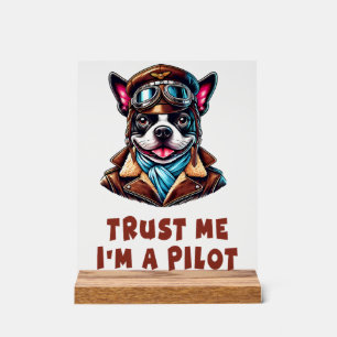 Faites-moi confiance, je suis pilote