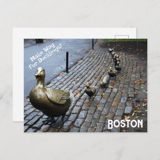 Faites Place À La Carte Postale Ducklings (Devant / Derrière)