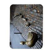 Faites Place Aux Colliers ! Magnet (Vertical)