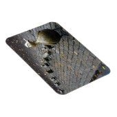 Faites Place Aux Colliers ! Magnet (Côté Droit)