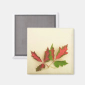 Faites votre propre aimant - Feuilles de chêne à l (Recto/Verso)