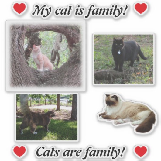 Faites votre propre chat Stickers Modèle pour les (Devant)