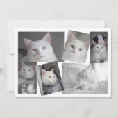 Faites votre propre collection de photos carte per (Devant)