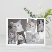 Faites votre propre collection de photos carte per (Debout devant)