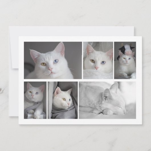 Faites votre propre collection de photos carte per (Devant)